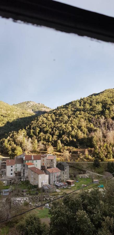 Camping L'Agrottu Au Coeur De La Corse Santa-Lucia-di-Mercurio Exterior photo