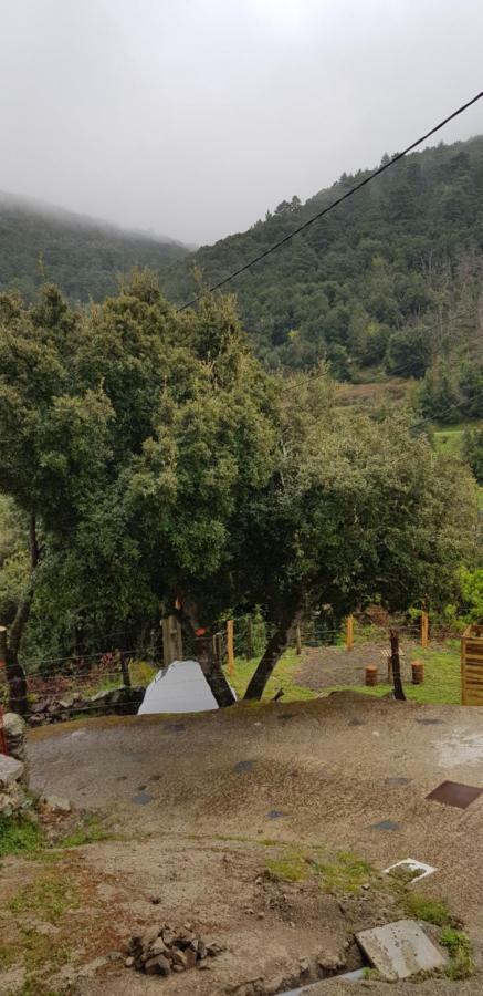 Camping L'Agrottu Au Coeur De La Corse Santa-Lucia-di-Mercurio Exterior photo