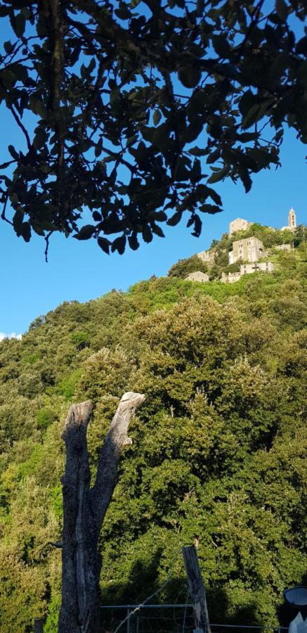Camping L'Agrottu Au Coeur De La Corse Santa-Lucia-di-Mercurio Exterior photo